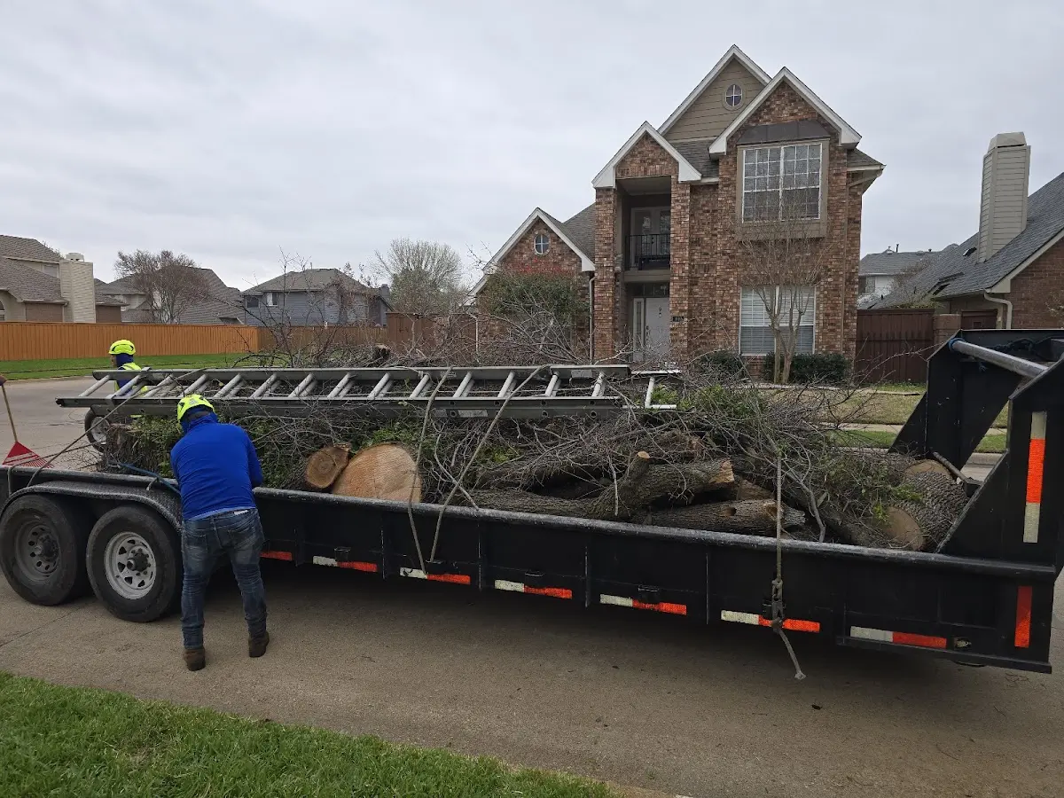 Expert Tree Fertilization with proper safety equipment in Ceres